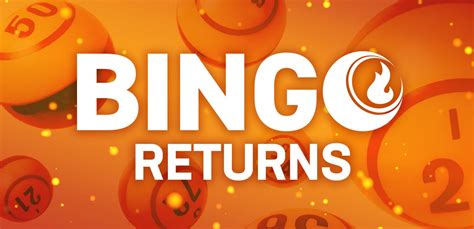 paysbig|Casino Bingo Night .